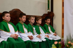 5_compressed